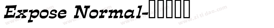 Expose Normal字体转换